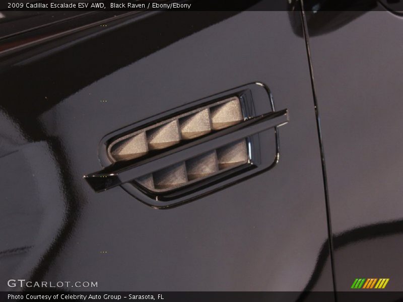 Black Raven / Ebony/Ebony 2009 Cadillac Escalade ESV AWD