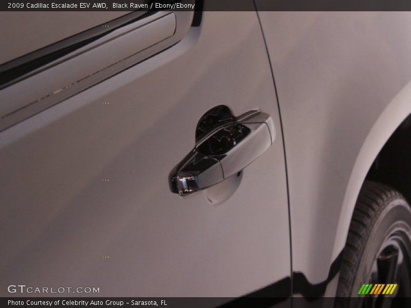 Black Raven / Ebony/Ebony 2009 Cadillac Escalade ESV AWD