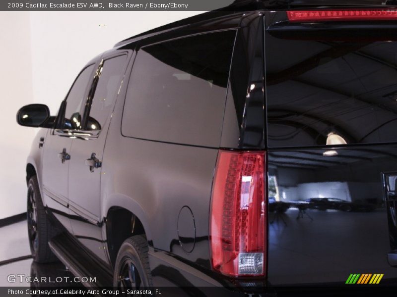 Black Raven / Ebony/Ebony 2009 Cadillac Escalade ESV AWD