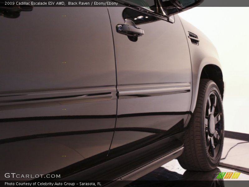 Black Raven / Ebony/Ebony 2009 Cadillac Escalade ESV AWD