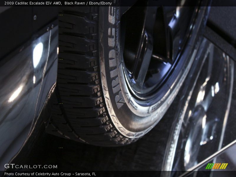 Black Raven / Ebony/Ebony 2009 Cadillac Escalade ESV AWD