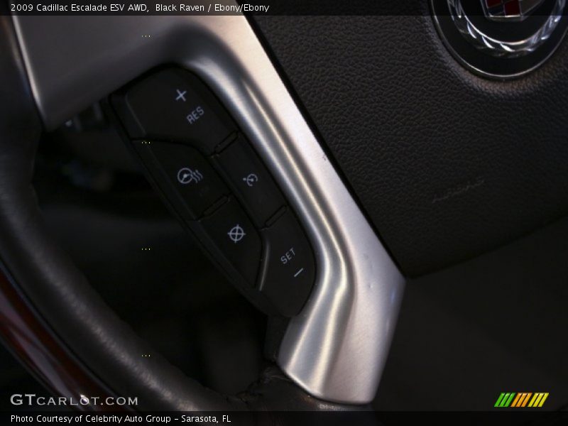 Black Raven / Ebony/Ebony 2009 Cadillac Escalade ESV AWD