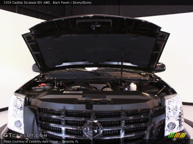 Black Raven / Ebony/Ebony 2009 Cadillac Escalade ESV AWD