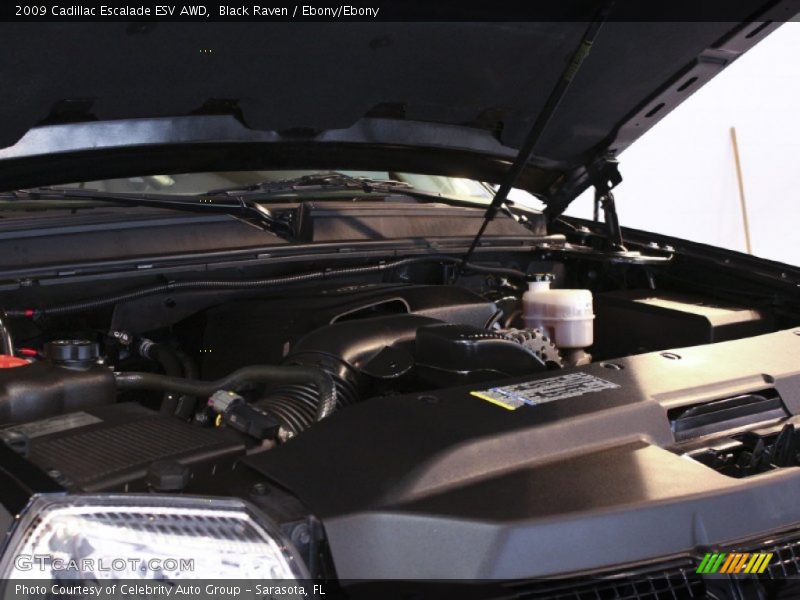 Black Raven / Ebony/Ebony 2009 Cadillac Escalade ESV AWD