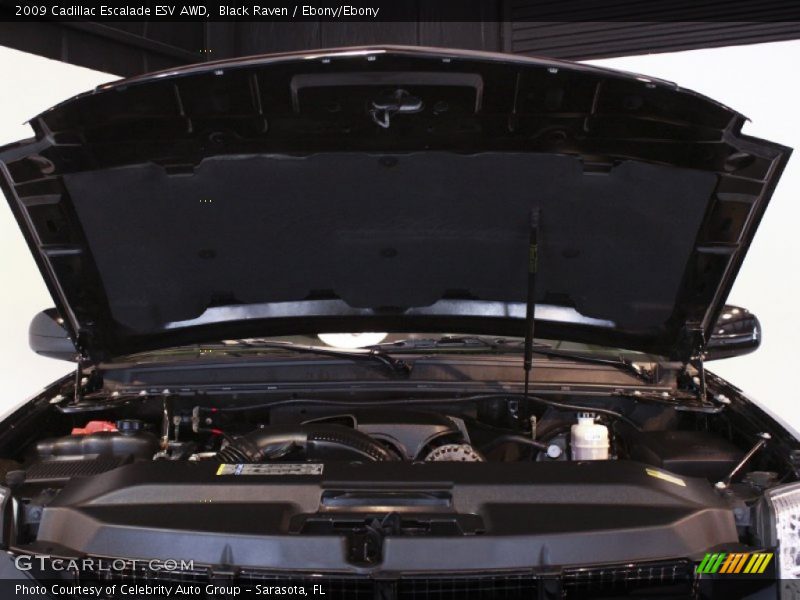 Black Raven / Ebony/Ebony 2009 Cadillac Escalade ESV AWD