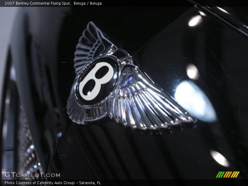 Beluga / Beluga 2007 Bentley Continental Flying Spur