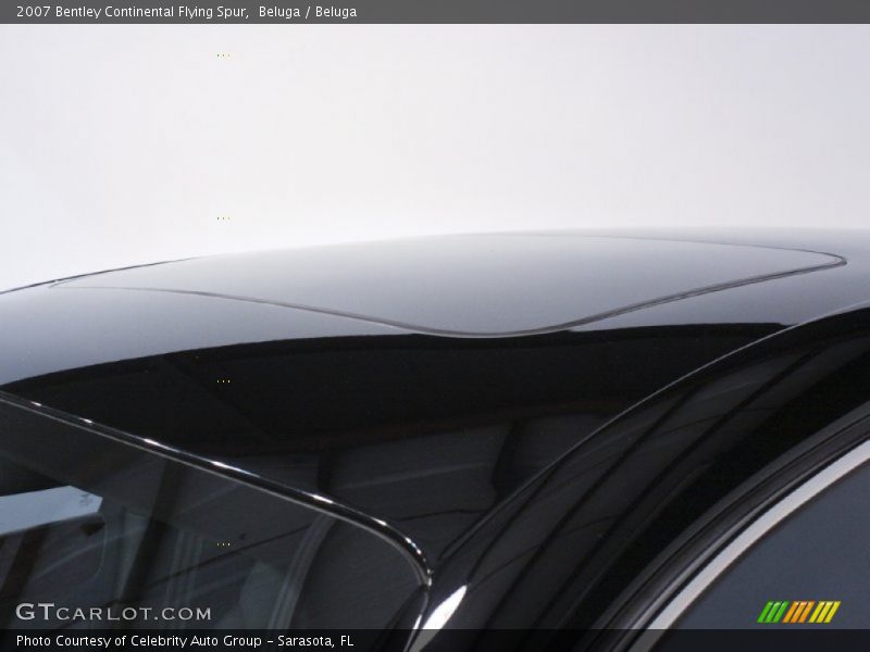 Beluga / Beluga 2007 Bentley Continental Flying Spur