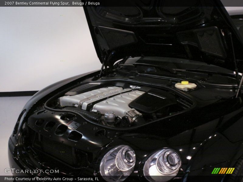 Beluga / Beluga 2007 Bentley Continental Flying Spur