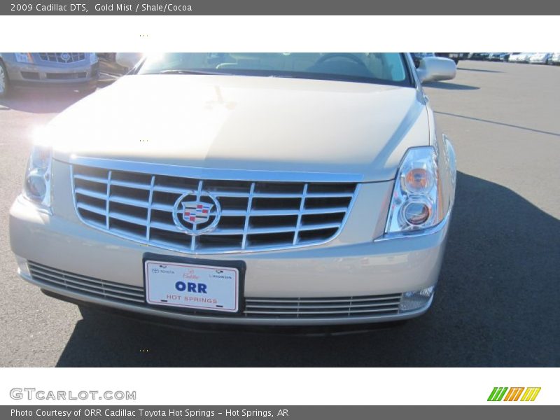 Gold Mist / Shale/Cocoa 2009 Cadillac DTS