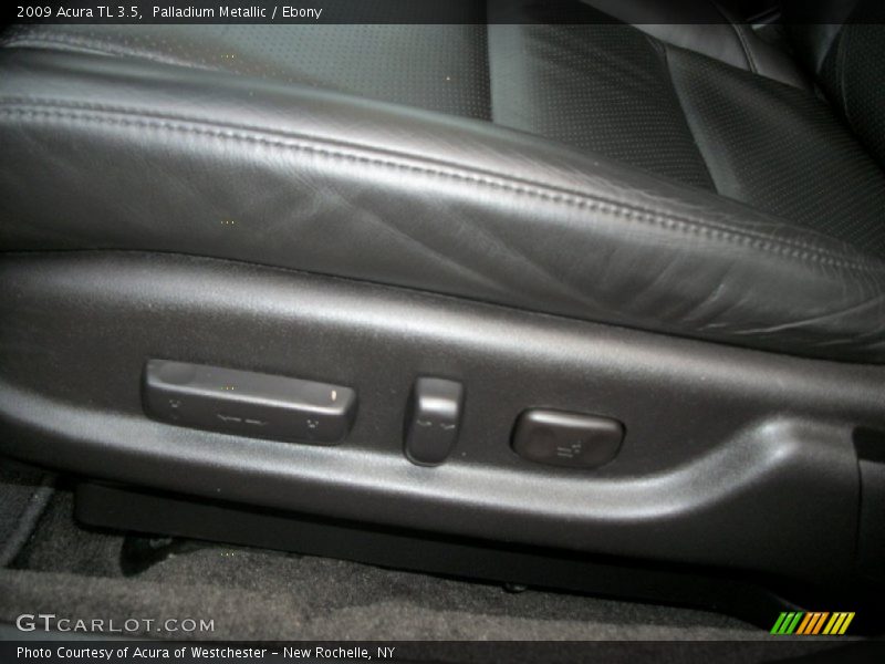 Palladium Metallic / Ebony 2009 Acura TL 3.5