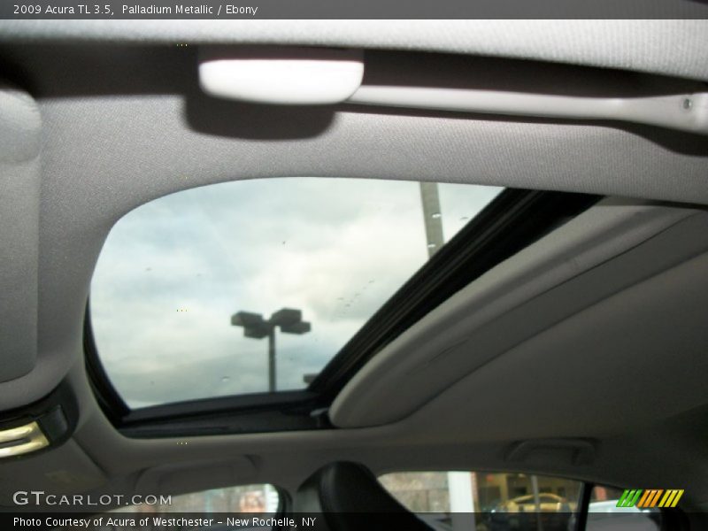 Palladium Metallic / Ebony 2009 Acura TL 3.5