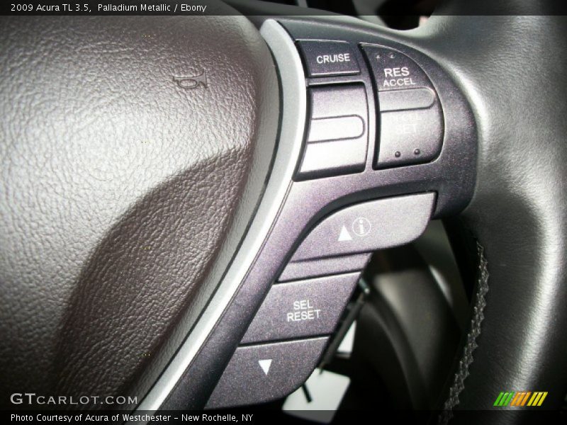 Palladium Metallic / Ebony 2009 Acura TL 3.5