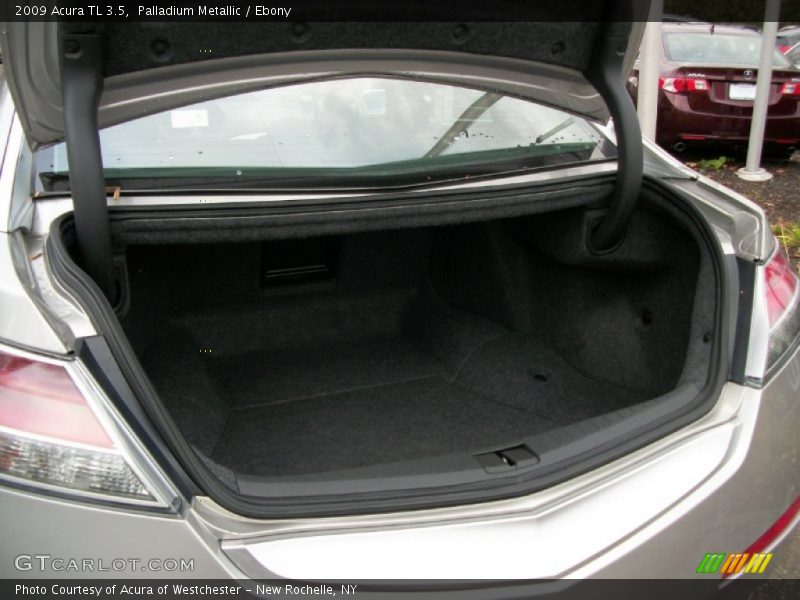 Palladium Metallic / Ebony 2009 Acura TL 3.5