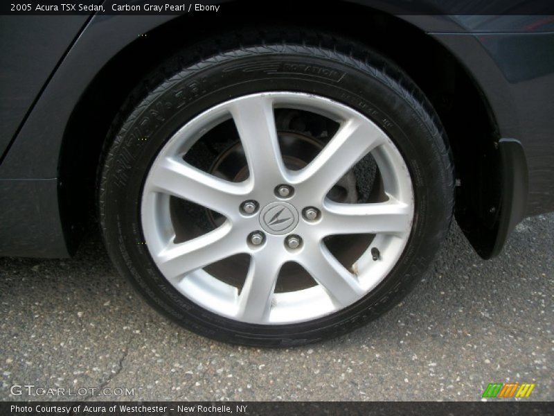 Carbon Gray Pearl / Ebony 2005 Acura TSX Sedan