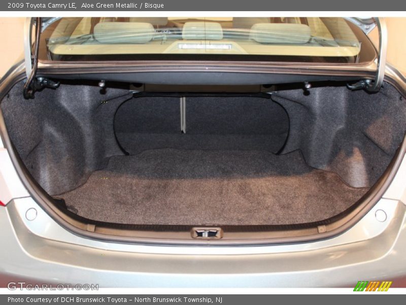 Aloe Green Metallic / Bisque 2009 Toyota Camry LE