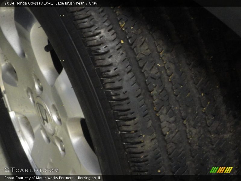 Sage Brush Pearl / Gray 2004 Honda Odyssey EX-L