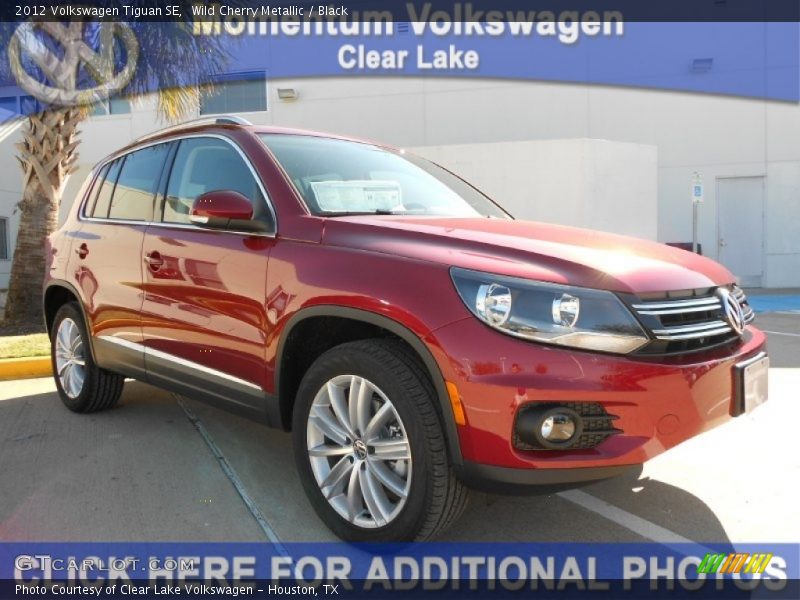 Wild Cherry Metallic / Black 2012 Volkswagen Tiguan SE