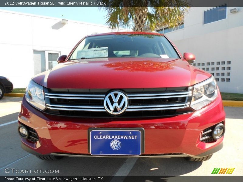 Wild Cherry Metallic / Black 2012 Volkswagen Tiguan SE