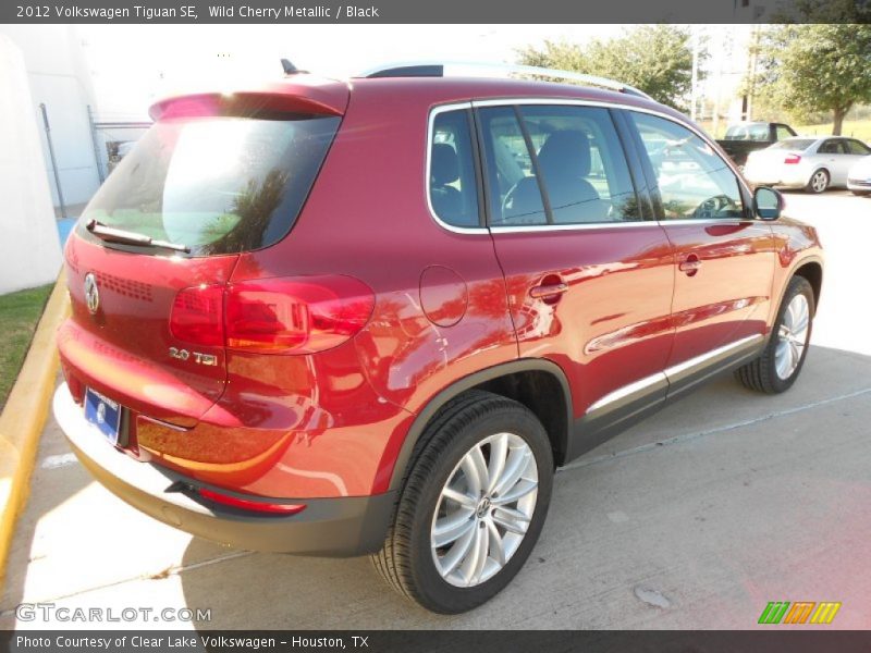 Wild Cherry Metallic / Black 2012 Volkswagen Tiguan SE