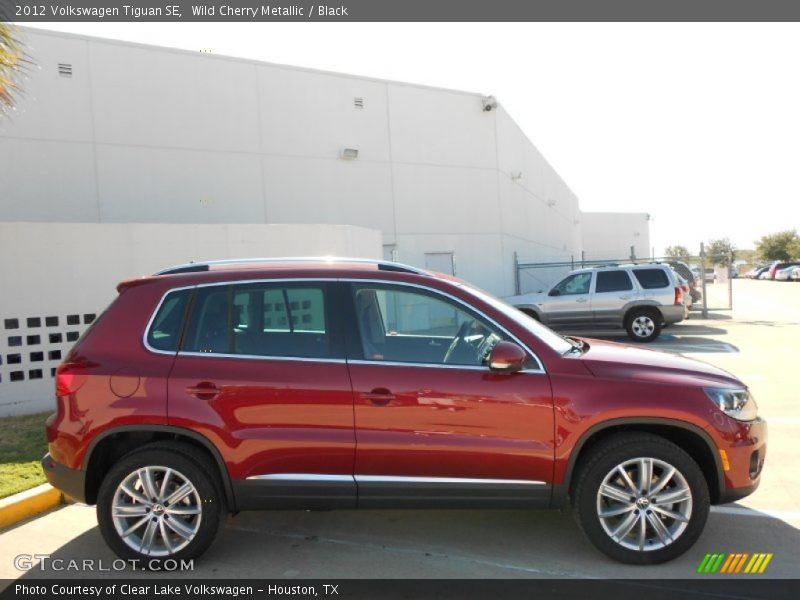 Wild Cherry Metallic / Black 2012 Volkswagen Tiguan SE