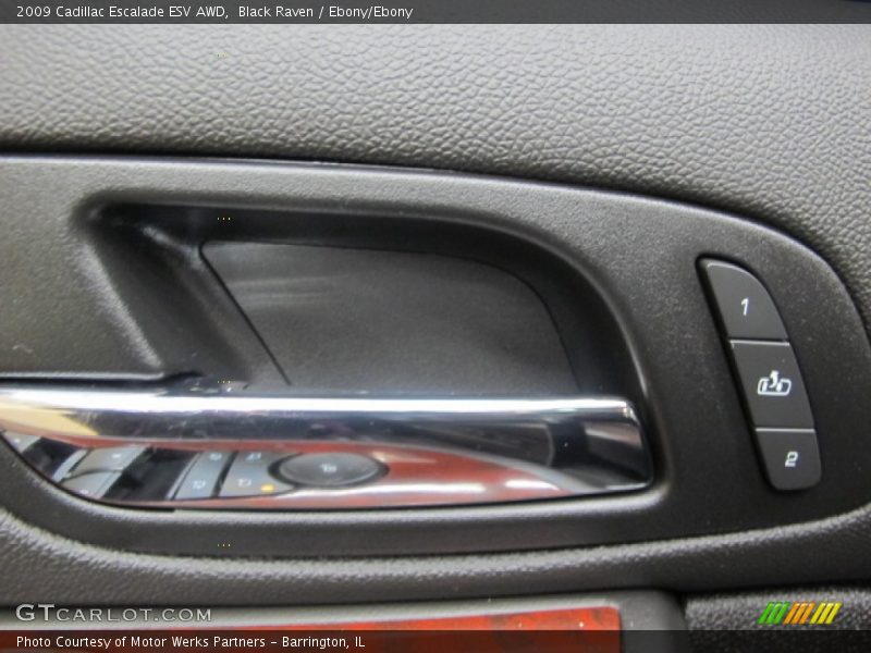 Black Raven / Ebony/Ebony 2009 Cadillac Escalade ESV AWD