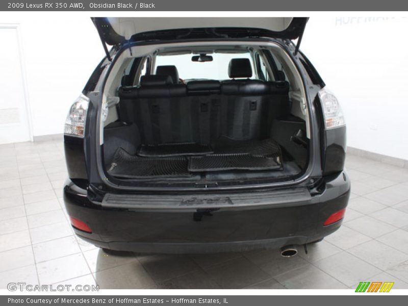 Obsidian Black / Black 2009 Lexus RX 350 AWD