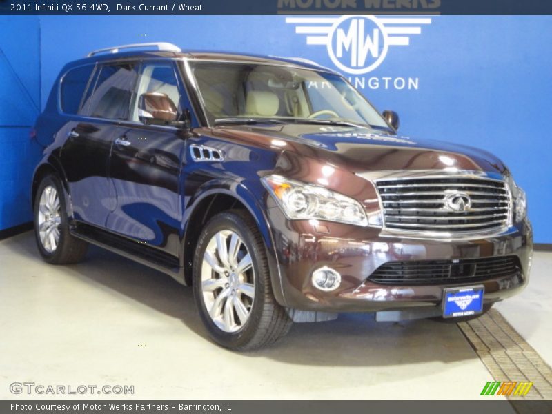 Dark Currant / Wheat 2011 Infiniti QX 56 4WD