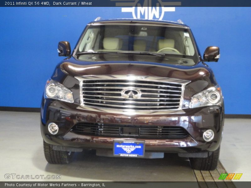 Dark Currant / Wheat 2011 Infiniti QX 56 4WD
