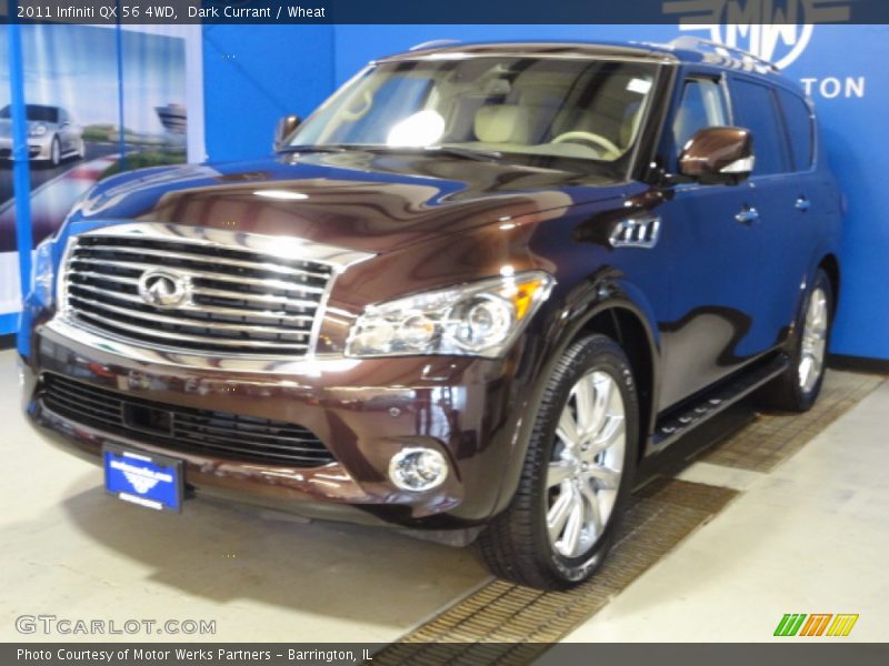 Dark Currant / Wheat 2011 Infiniti QX 56 4WD