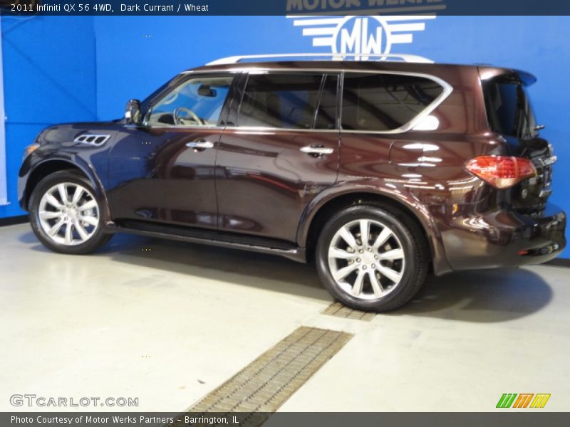 Dark Currant / Wheat 2011 Infiniti QX 56 4WD