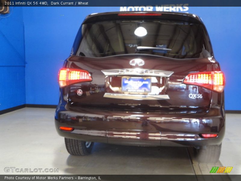 Dark Currant / Wheat 2011 Infiniti QX 56 4WD