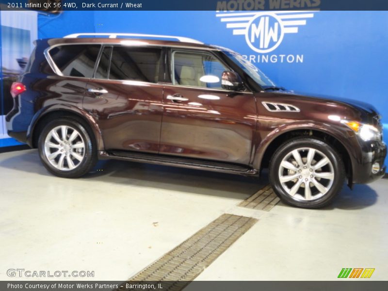 Dark Currant / Wheat 2011 Infiniti QX 56 4WD