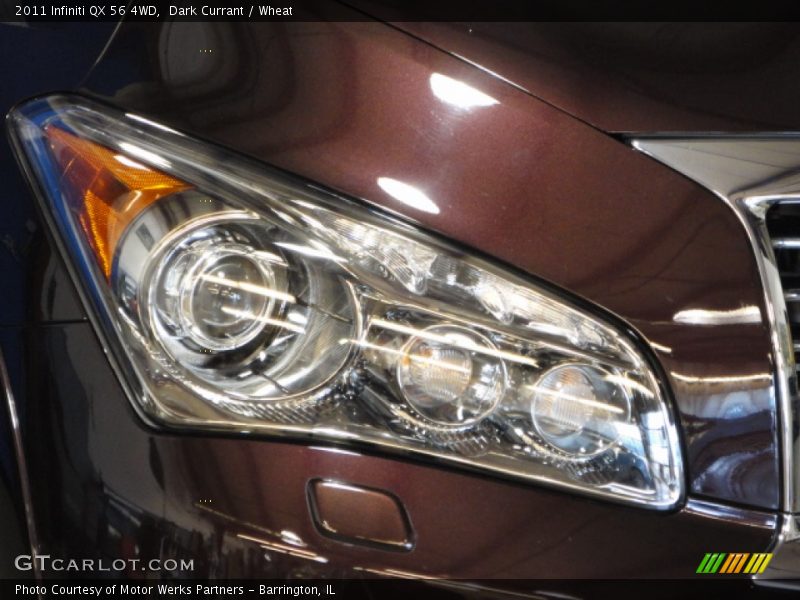 Dark Currant / Wheat 2011 Infiniti QX 56 4WD