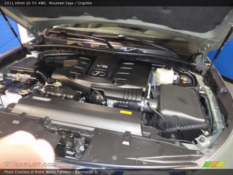 Mountain Sage / Graphite 2011 Infiniti QX 56 4WD