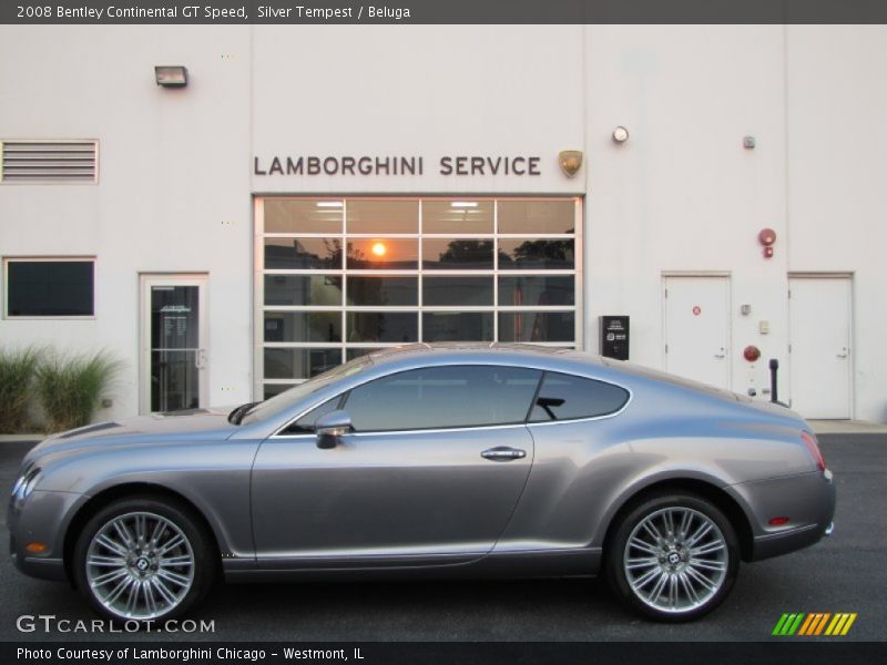 Silver Tempest / Beluga 2008 Bentley Continental GT Speed