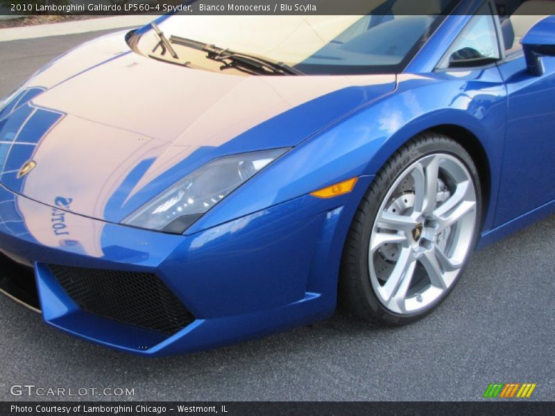 Bianco Monocerus / Blu Scylla 2010 Lamborghini Gallardo LP560-4 Spyder