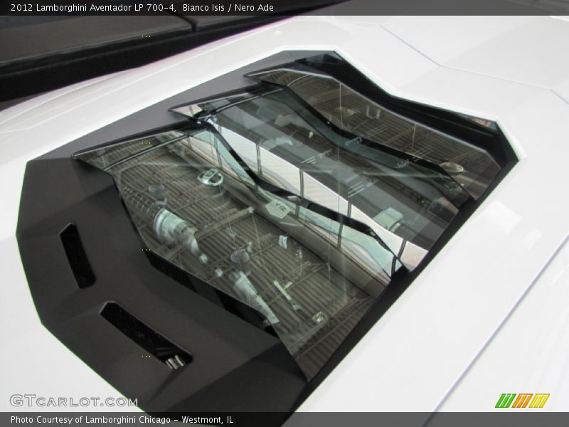 Engine cover - 2012 Lamborghini Aventador LP 700-4