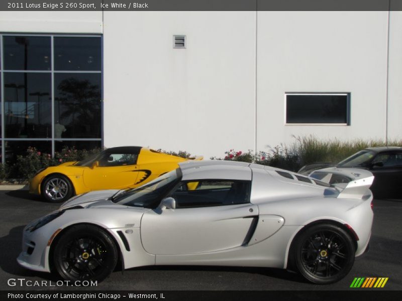  2011 Exige S 260 Sport Ice White