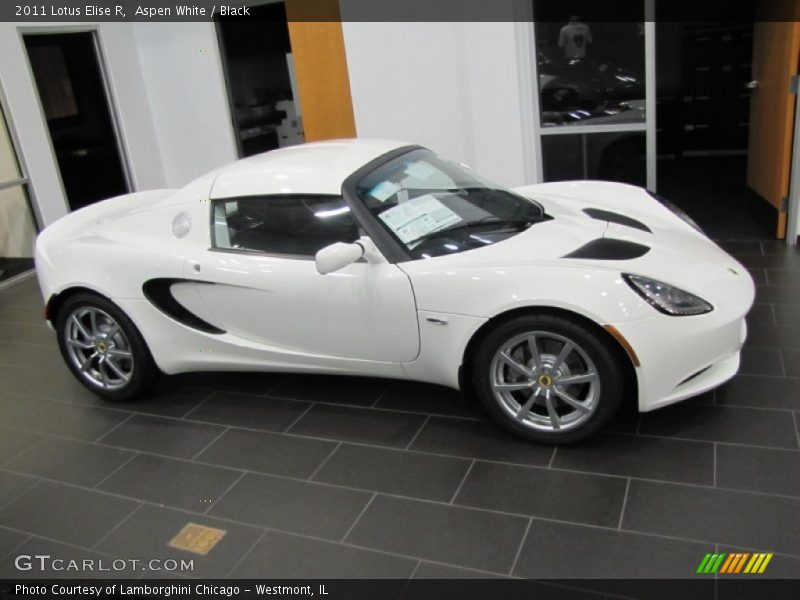  2011 Elise R Aspen White