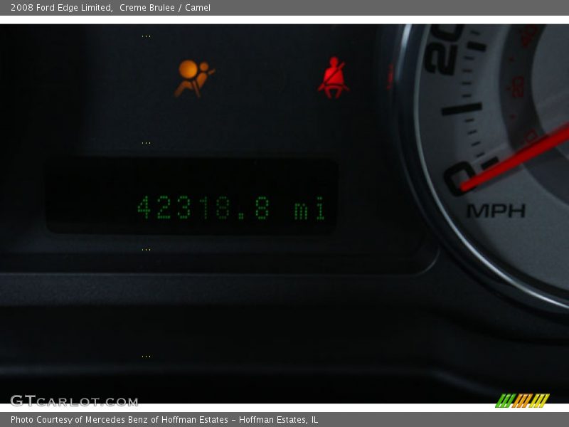 Creme Brulee / Camel 2008 Ford Edge Limited