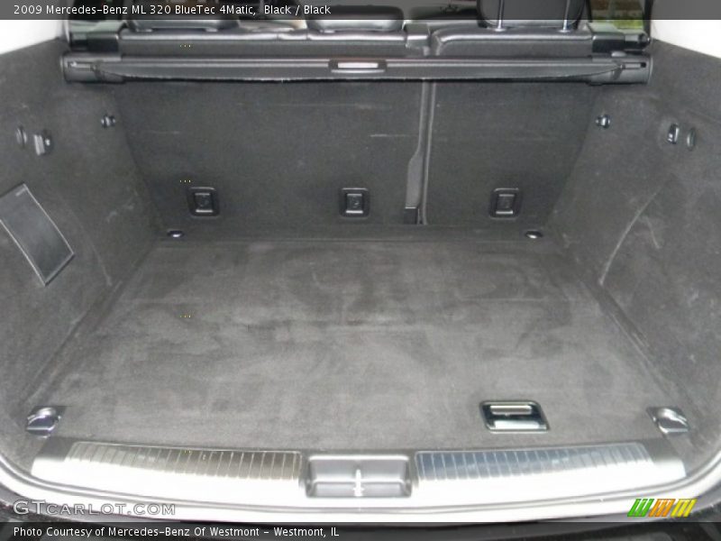 Black / Black 2009 Mercedes-Benz ML 320 BlueTec 4Matic