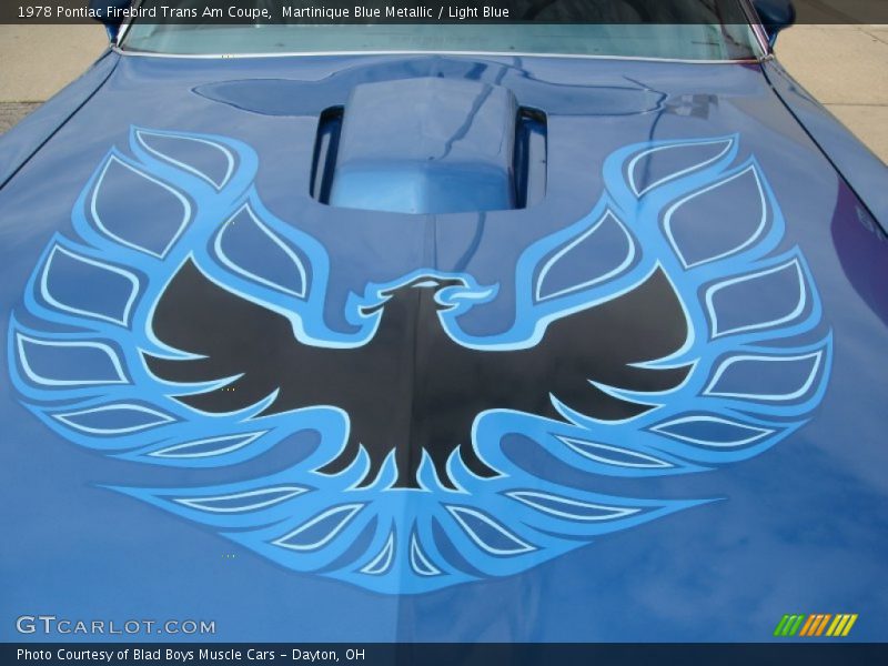 Blue Firebird Graphic - 1978 Pontiac Firebird Trans Am Coupe