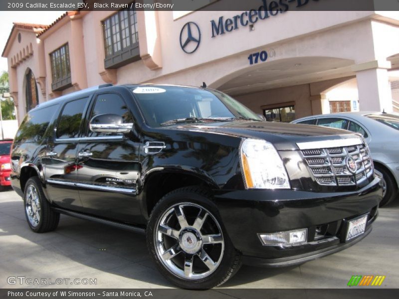 Black Raven / Ebony/Ebony 2009 Cadillac Escalade ESV