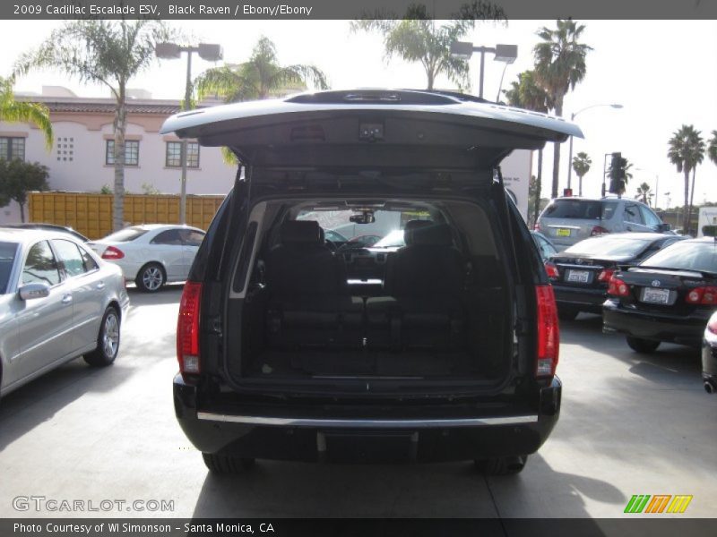 Black Raven / Ebony/Ebony 2009 Cadillac Escalade ESV