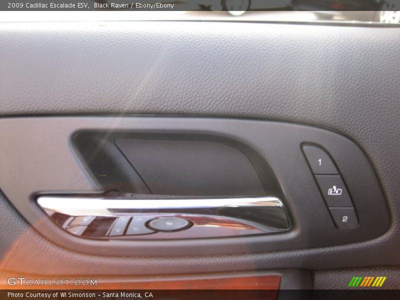 Black Raven / Ebony/Ebony 2009 Cadillac Escalade ESV