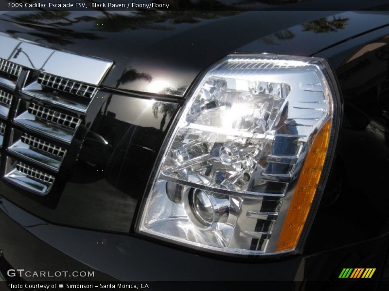 Black Raven / Ebony/Ebony 2009 Cadillac Escalade ESV