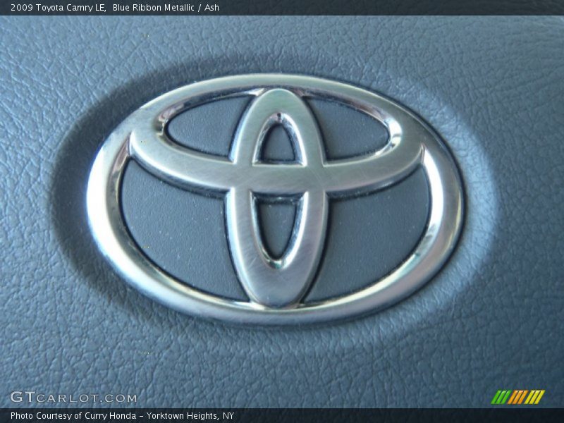 Blue Ribbon Metallic / Ash 2009 Toyota Camry LE