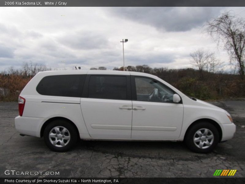 White / Gray 2006 Kia Sedona LX