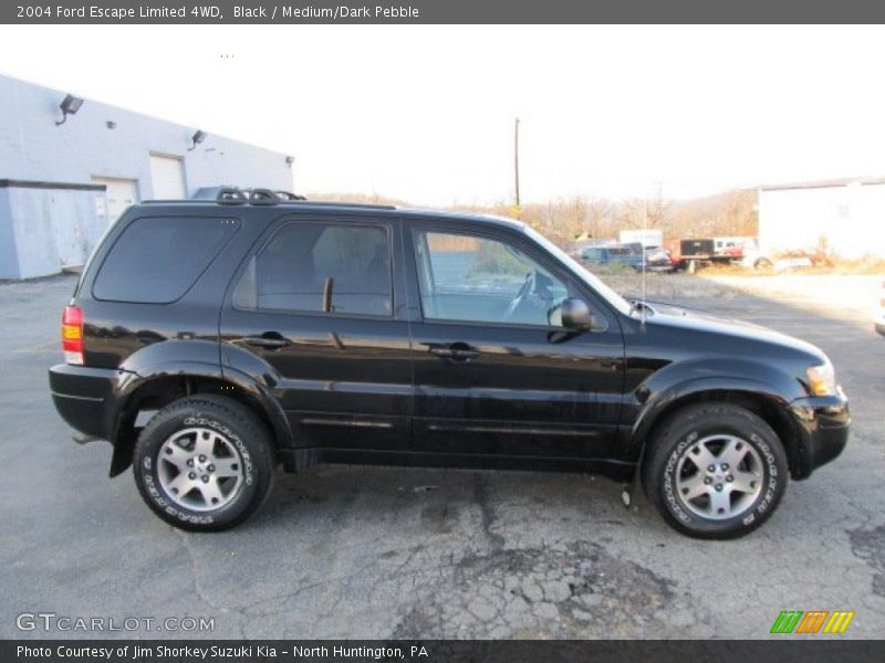 Black / Medium/Dark Pebble 2004 Ford Escape Limited 4WD