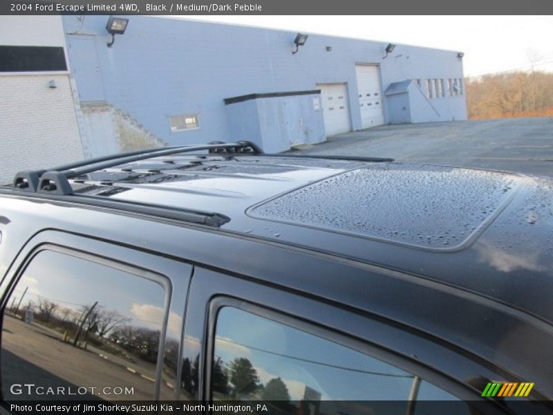 Black / Medium/Dark Pebble 2004 Ford Escape Limited 4WD